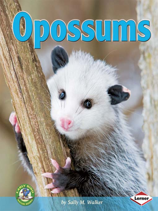 Title details for Opossums by Sally M. Walker - Available